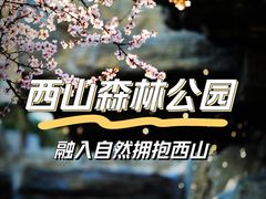 -北京西山国家森林公园