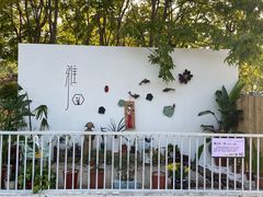-沙湖公园