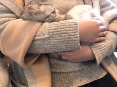 -万小咖.猫咖(中山路天虹店)