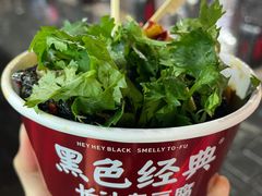 长沙臭豆腐-黑色经典臭豆腐·湖南特产(坡子街店)