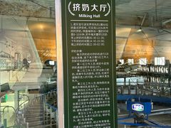 -君乐宝优致牧场
