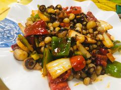 辣炒海灵菇-故乡明太鱼屋(航北路店)