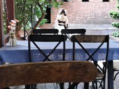 -拾光音乐餐酒吧(告庄星光夜市店)