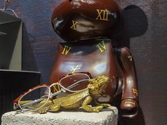 -大视光学•LINDBERG林德伯格•全球手工眼镜集合店(王府井店)