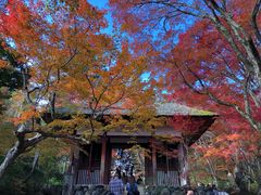 -常寂光寺