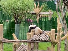 -沈阳森林动物园