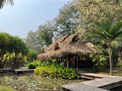 -中国科学院西双版纳热带植物园