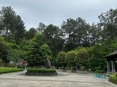 -铁山坪森林公园