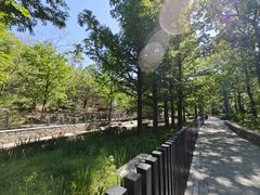 -白水寺森林公园