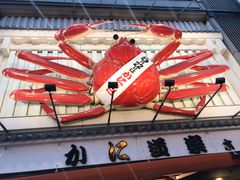 -蟹道乐(道顿堀本店)