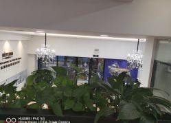 -蕾特恩祛痘•皮肤管理