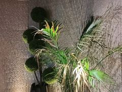 -大逸传奇·足道SPA(天美店)