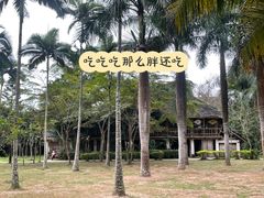 -西双版纳傣族园