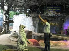-清迈夜间动物园