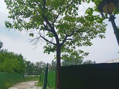 -沈阳植物园