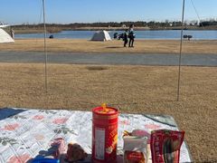 -春花秋色城市公园