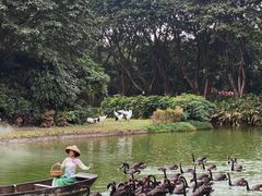 -广州长隆飞鸟乐园