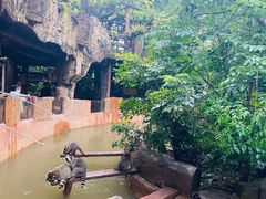 -长鹿旅游休博园
