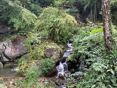 -藏龙百瀑风景区