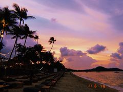 -Coco Tam’s
