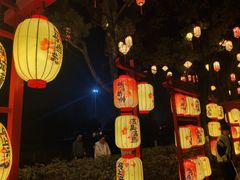 -武汉园博园(武汉自然博物馆)