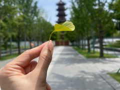 -龙华素斋(龙华路店)