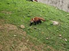 -西安秦岭野生动物园