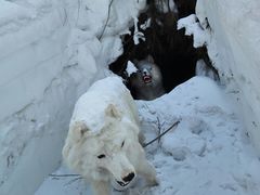 -棋盘山冰雪大世界