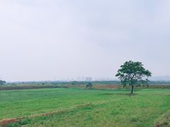 -盘龙城国家考古遗址公园