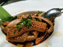-梧桐
