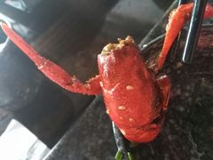 -海岛八号龙虾烧烤田鸡(蓝天路总店)