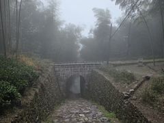 -仙霞关景区