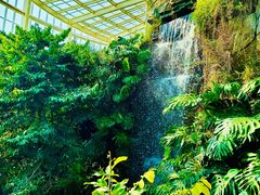 -昆明植物园