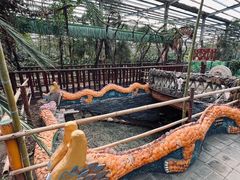 -呀路古热带植物园