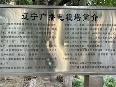 -辽宁电视塔