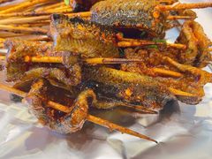 鳝鱼-晓靖轩烧烤(沙河风情店)
