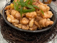 -丁老爷子苏香圆