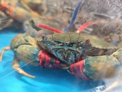 -大润发(康桥店)