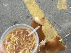-飞虹鱼馆(春华路店)