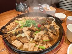 -老板恋上鱼(振华商厦店)