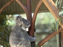 -费瑟代尔野生动物园
