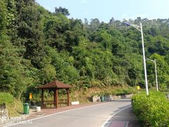-火炉山森林公园