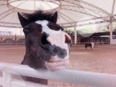 -金庭庄园酒店-停车场