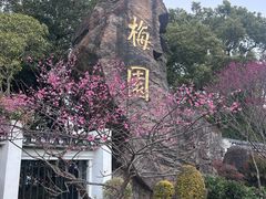 -无锡梅园公园