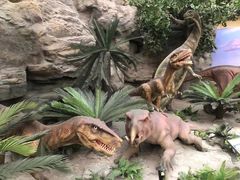 -国家自然博物馆