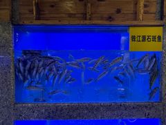 -陈先进鱼馆·地道农家菜(湖墅南路店)