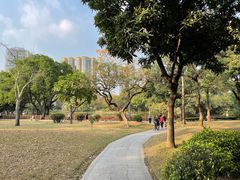 -晓港公园