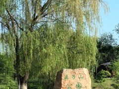 -莫子山公园