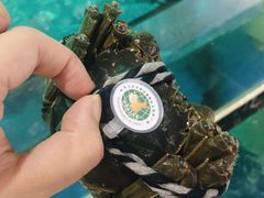 -草鱼先生潮州鱼生·虾生(新厦花园店)