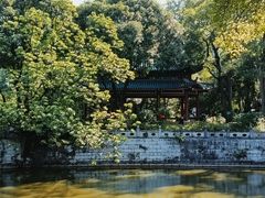 -柳侯公园